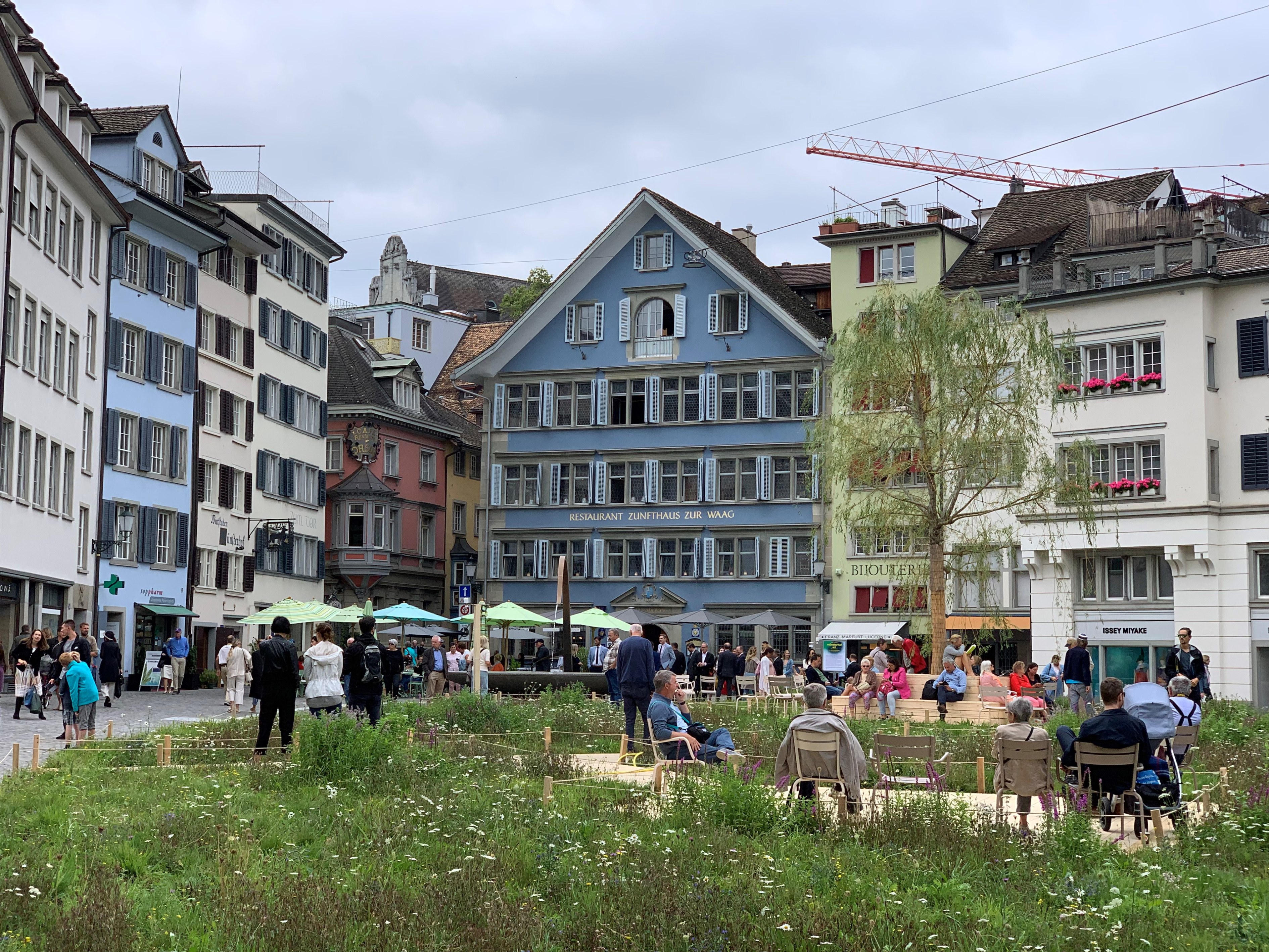 Münsterhof_Pflanzen_1